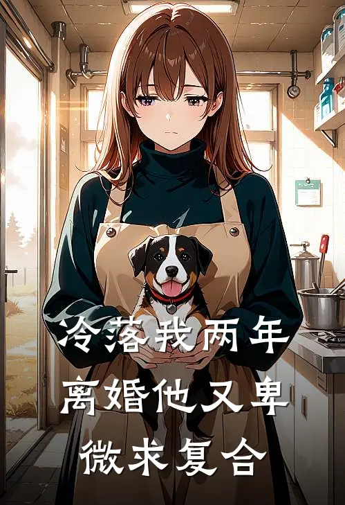 冷落我两年，离婚他又卑微求复合