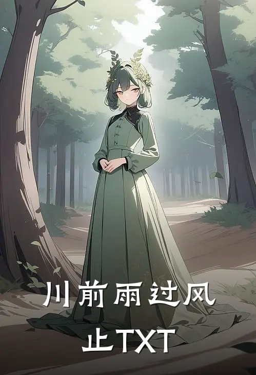 川前雨过风止TXT